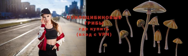 гидропоника Алзамай