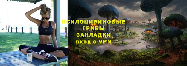 ПСИЛОЦИБИНОВЫЕ ГРИБЫ Нестеровская