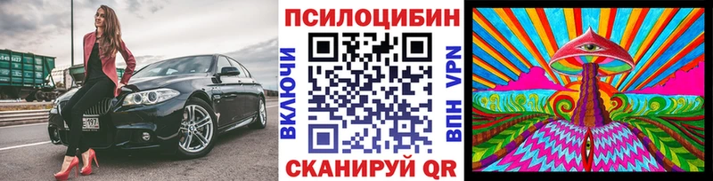 OMG маркетплейс  Далматово  Псилоцибиновые грибы мухоморы 